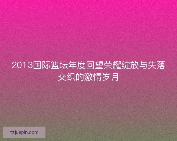 2013国际篮坛年度回望荣耀绽放与失落交织的激情岁月