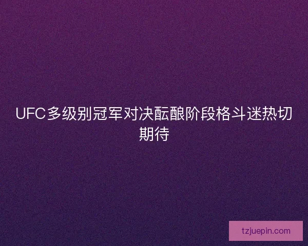 UFC多级别冠军对决酝酿阶段格斗迷热切期待